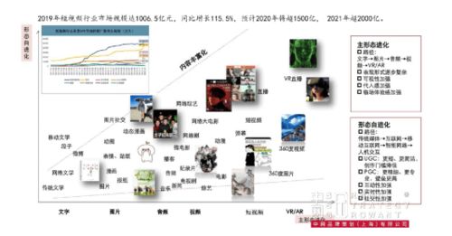 成熟品牌的营销突破 金光APP与中网品牌策划的战略咨询解析